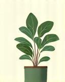 Decorative illustration of a potted plant